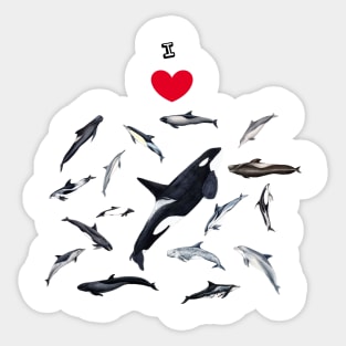 I love dolphins Sticker